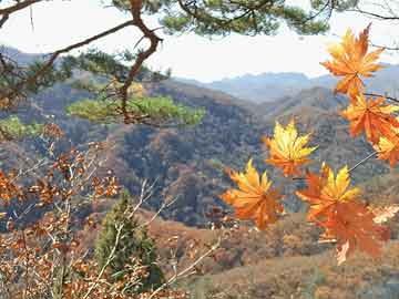 梁山最新公司公户可以绑定微信吗方法分析(最方便真实的梁山公户可以绑定个人银行卡吗方法)